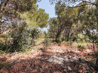 Solar en C/ Del Tord, Ametlla de Mar (L´) (Tarragona) 16