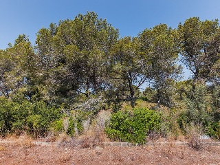 Solar en C/ Del Tord, Ametlla de Mar (L´) (Tarragona) 18