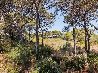 Solar en C/ Del Tord, Ametlla de Mar (L´) (Tarragona) 20