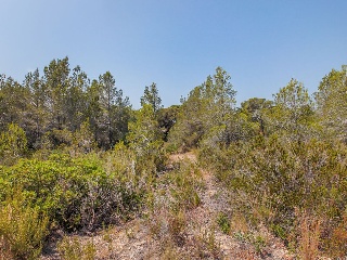 Solar en C/ Del Tord, Ametlla de Mar (L´) (Tarragona) 29