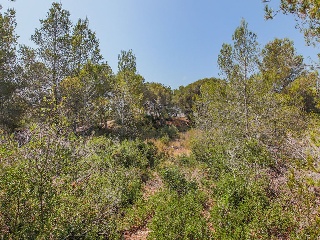 Solar en C/ Del Tord, Ametlla de Mar (L´) (Tarragona) 32