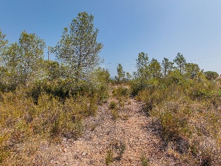 Solar en C/ Del Tord, Ametlla de Mar (L´) (Tarragona) 33