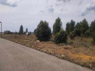 CENTAURO-UR ESTRELLA IZAR 31
