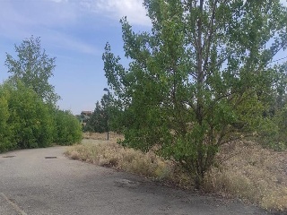RIO PORMA-UR ESTRELLA IZA 25