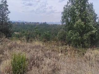 RIO PORMA-UR ESTRELLA IZA 28