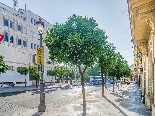 Casa adosada en C/ Pedro Alonso Nº 8 - Jerez de la Frontera - 17