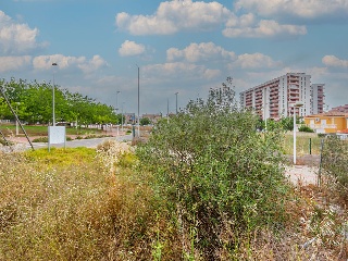 Solar en Av Jaume I 29