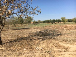 Finca Rústica con Edificación en C/ Polígono, La Puebla de Montalbán (Toledo)  32