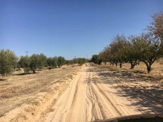 Finca Rústica con Edificación en C/ Polígono, La Puebla de Montalbán (Toledo)  33