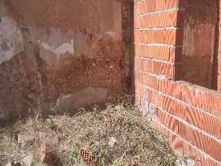 Flor 21