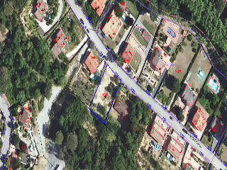 Coll Formic 12