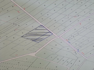 Proc. Simplificado 19