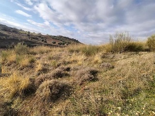 BARRANCO DEL AGUA 9