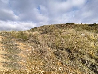 BARRANCO DEL AGUA 11