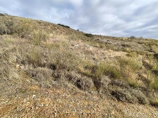 LA ERILLA 12