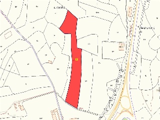 LA ERILLA 17