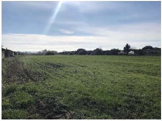 Suelos Urbanizables situados en Jerez de la Frontera 25