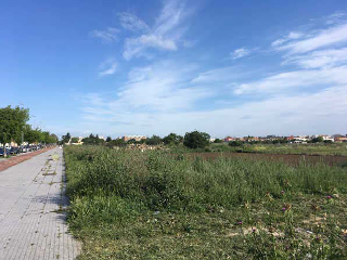 Suelos Urbanizables situados en Jerez de la Frontera 26