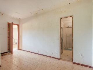 01981-0001 22