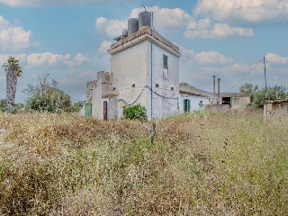 01981-0001 34
