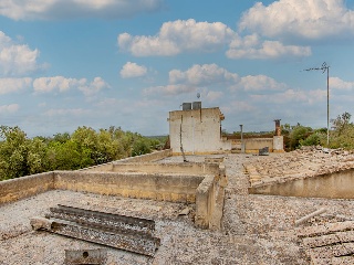 01981-0001 35