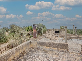 01981-0001 37