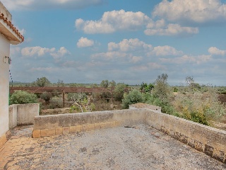 01981-0001 38