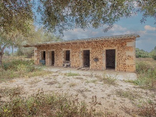 01981-0001 39