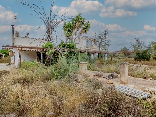 01981-0001 41