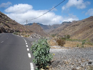 Langrero 8