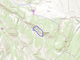Diseminat Agullo 21