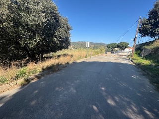 Tèlia 11