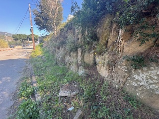 Tèlia 16