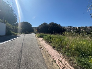 Tèlia 20