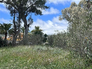 Centro Paraiso (Del) 4