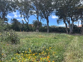 Centro Paraiso (Del) 5