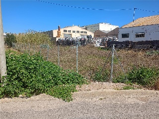 Cami De Recortes 8