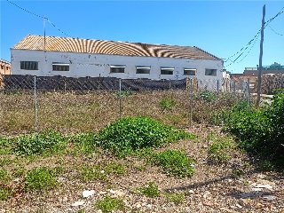 Cami De Recortes 10