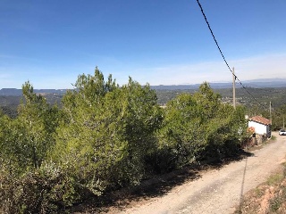 Sant Miquel 24