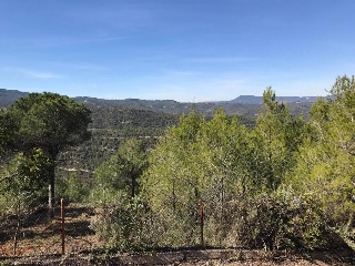 Sant Miquel 25