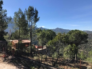Sant Miquel 26