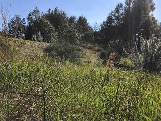 Sant Miquel 27