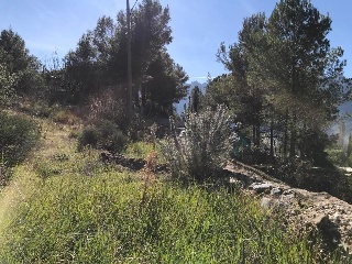 Sant Miquel 28