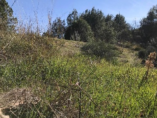 Sant Miquel 29