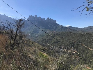 Sant Miquel 31