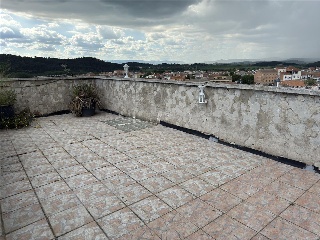 Colom 35
