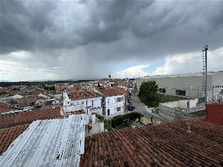 Colom 36