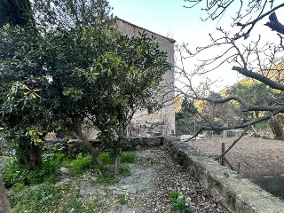 Font De La Reina 6