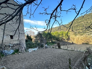 Font De La Reina 8
