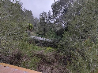 Pujada De Bixquert 7